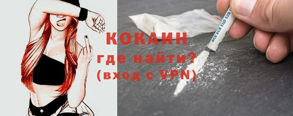 индика Арсеньев