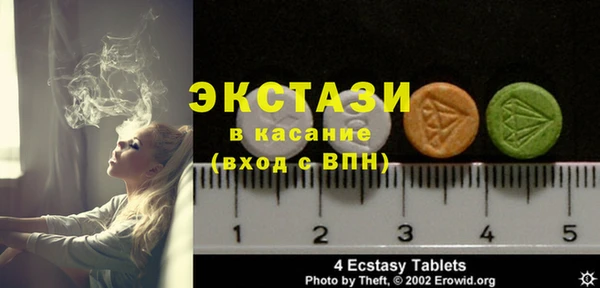 индика Арсеньев
