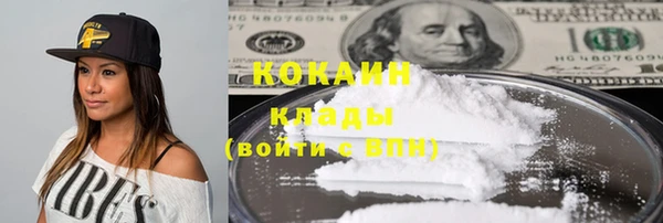 индика Арсеньев