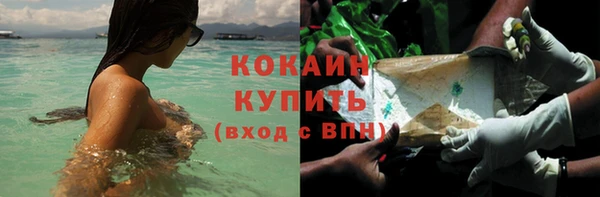 прущие грибы Пестово