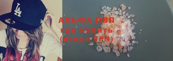 индика Арсеньев