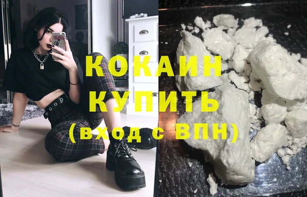 индика Арсеньев