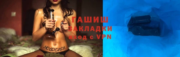 индика Арсеньев