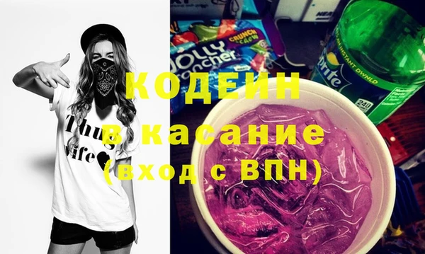 индика Арсеньев