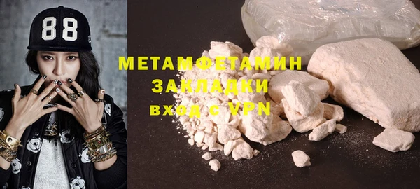 индика Арсеньев