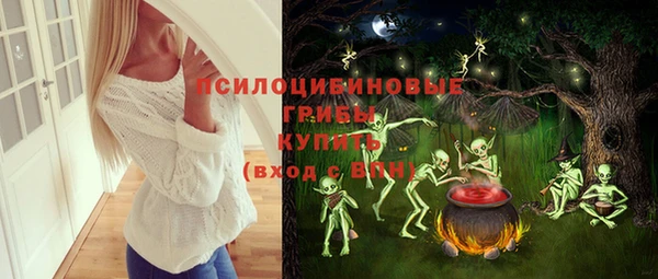стафф Пересвет