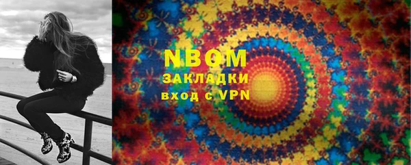 индика Арсеньев