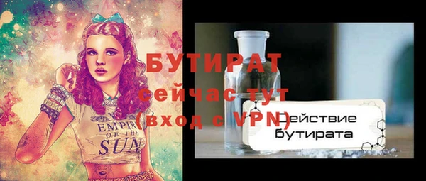 индика Арсеньев