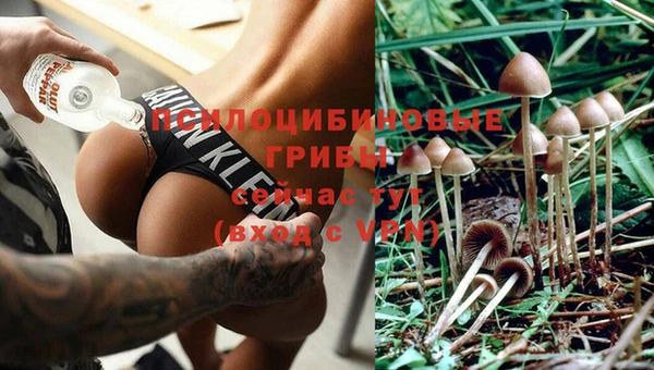 гашишное масло Аркадак