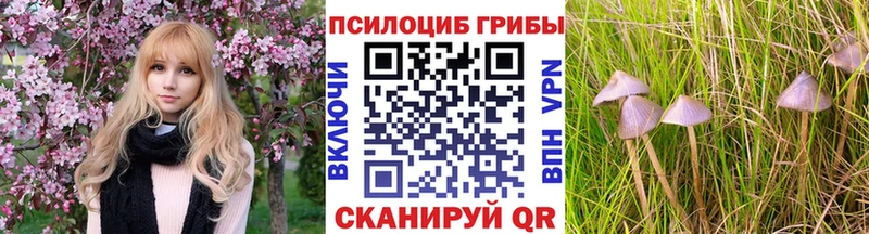 Псилоцибиновые грибы Magic Shrooms  KRAKEN сайт  Туринск 